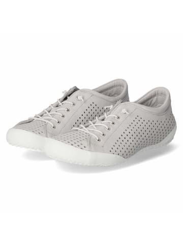 Andrea Conti Schnürhalbschuh in grau