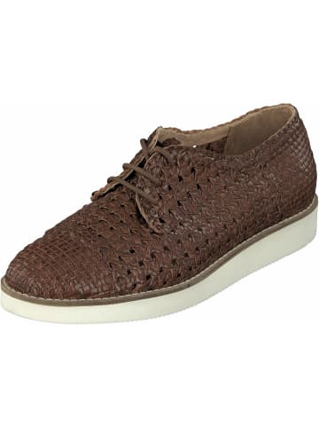 Allan K Sneaker für Damen in braun