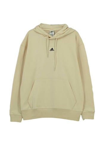 adidas Pullover Fv Hooded Sweat in Braun