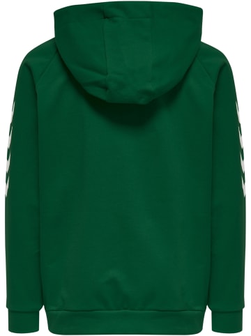 Hummel Hummel Cotton Kapuzenpullover Hmlgo Multisport Kinder in EVERGREEN