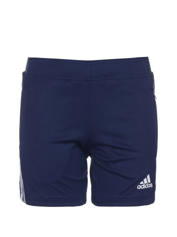 adidas Performance Trainingsshorts Tiro 21 in blau / weiß