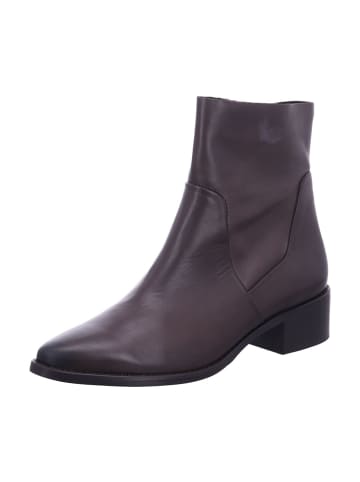 Paul Green Stiefeletten in dunkelbraun