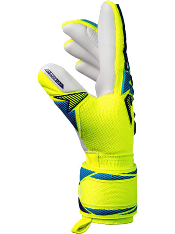 Reusch Torwarthandschuhe Attrakt Freegel Advance Junior in 2005 safe yellw/sharp blue