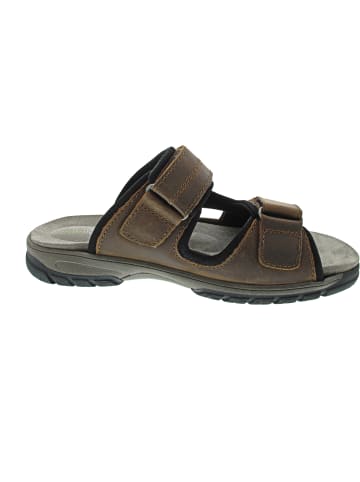 WALDLÄUFER Harald Pantolette Braun