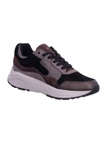 Xsensible Damen- Schnürschuhe Golden Gate Lady in Braun