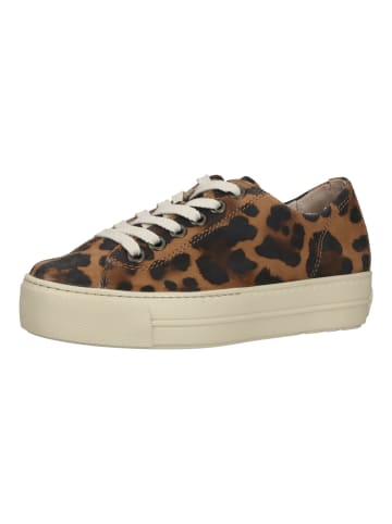 Paul Green Sneaker in Leopard