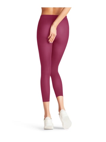 Falke Capri Pure Matt 50 DEN in Engl. rose