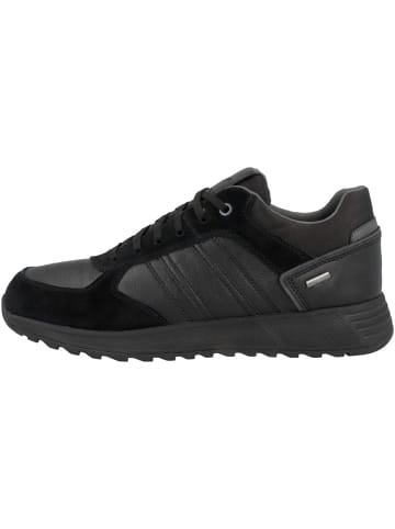 Geox Sneaker low U Molveno B WPF A in schwarz