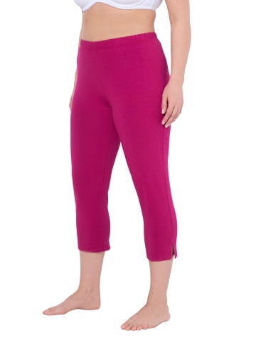 Ulla Popken Caprihose in fuchsia