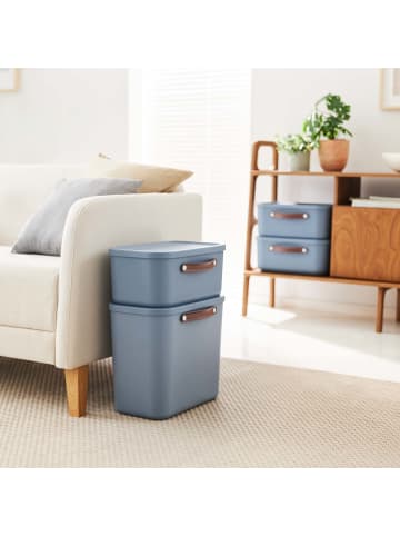 Rotho 2er-Set Kiste mit Deckel Maloja 25l in Misty blau
