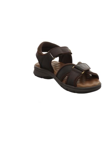 PANAMA JACK Sandalette in braun