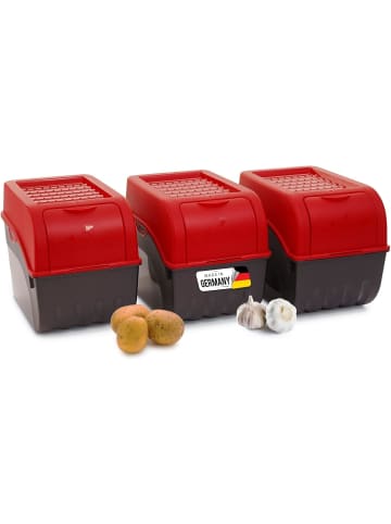 Novaliv Kartoffel Aufbewahrungsbox | 3x groß 9L | ROT | Kartoffelbox | Gemüseb in Rot