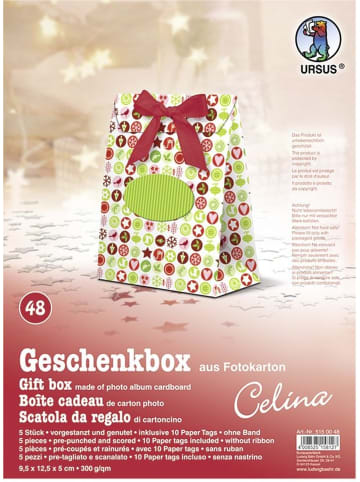 Buntpapierfabrik Ludwig Bähr Geschenkbox Celina 9,5x12,5x5cm Packung mit 5 Stück Motiv: 48