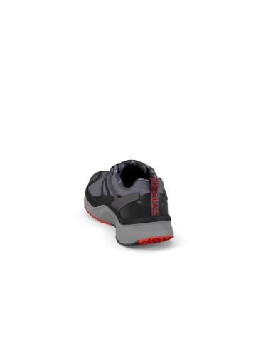 Joya Schnürschuhe Veloce STX in dark grey