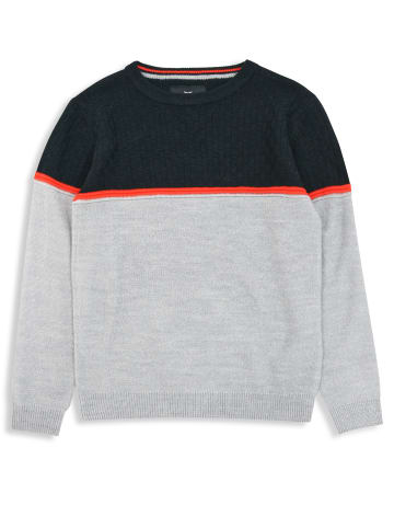 Threadboys Sweatshirt Tone in Grau