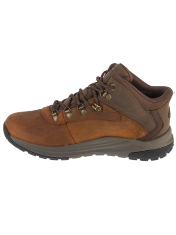 Skechers Skechers Slip-Ins: Meroe - Pikeman in Braun