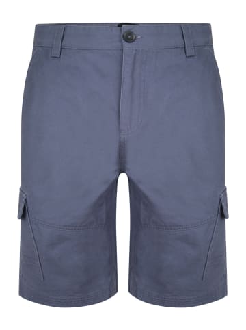 Threadbare Cargoshorts THBHydro in Blau