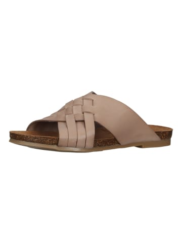 Cosmos Comfort Pantoletten in Taupe