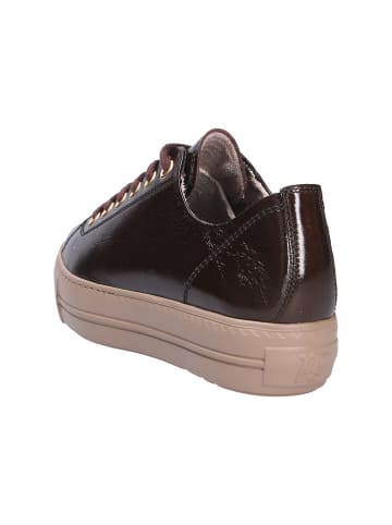 Paul Green Sneaker in braun
