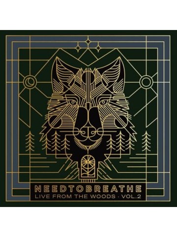 I-DI Musik - Live from the Woods Vol. 2