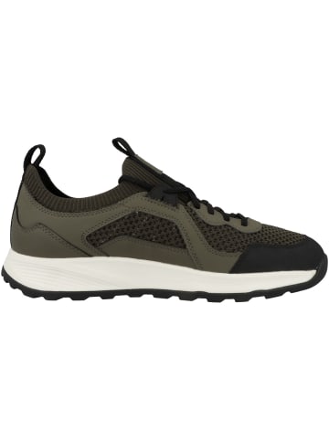 Geox Sneaker low U Terrestre A in gruen