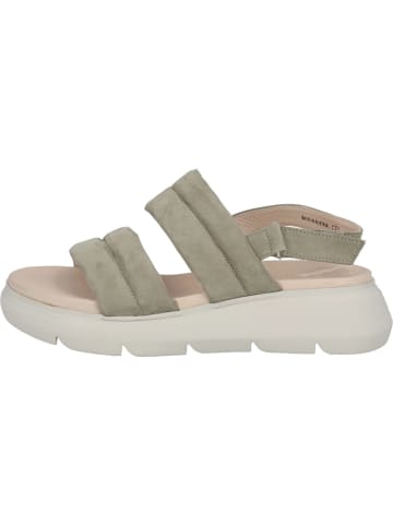 Paul Green Sandalen in Herb/Khaki