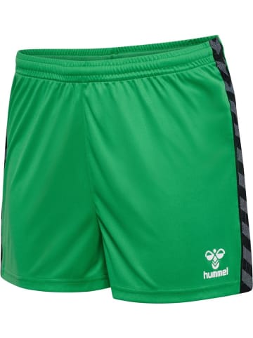 Hummel Short "Hmlauthentic Pl Shorts Woman" in Multicolor