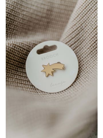 leevje Brosche shooting star' in multicolored