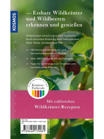 Franckh-Kosmos Essbare Wildkräuter und Wildbeeren für unterwegs | 140 Arten einfach...