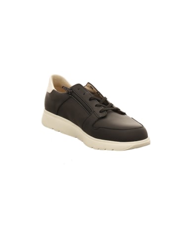 Finn Comfort Sneaker Low in schwarz