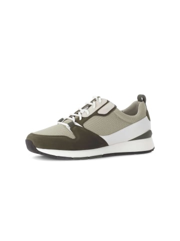 Gabor Sneaker low in grün