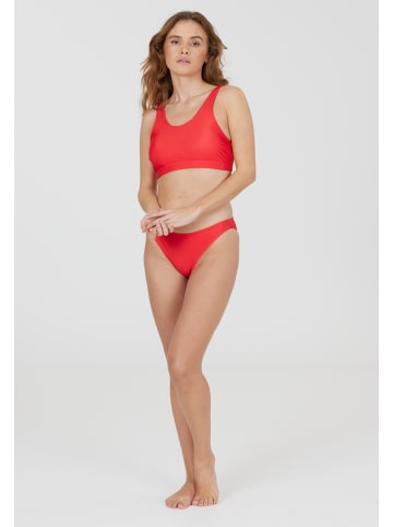 Cruz Bikinioberteil Shellie in 4054 Hibiscus