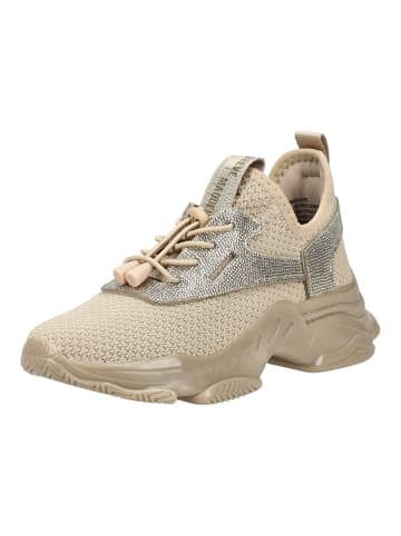 Steve Madden Sneaker in Cream