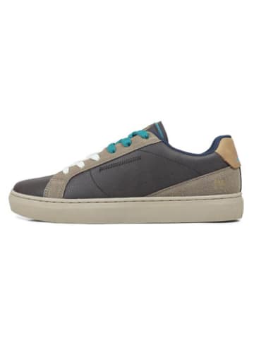 Fred Perry Sneakers Columbus in taupe