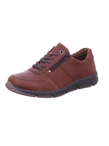 Solidus Sneaker in braun