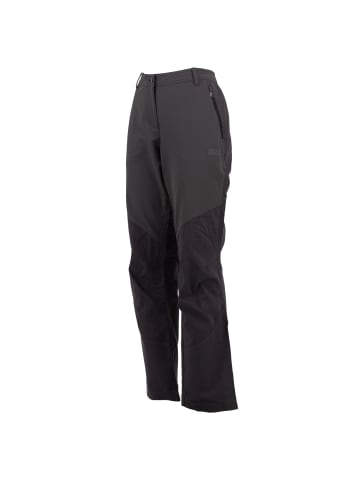 Jack Wolfskin Hose Drake Flex Pants in Grau