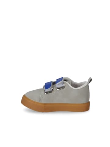 Coccodrillo Sneaker in bunt