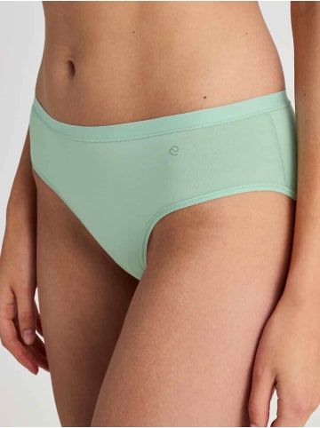 Calida Slip - regular cut - Natural Comfort in Soft green