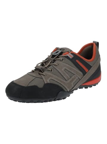 Geox Sneaker in Grau/Braun