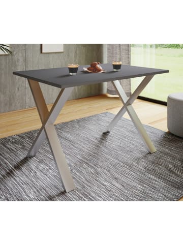 VCM  Premium Holz Esstisch Tisch Xona X Weiß in Silber / Anthrazit