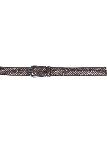 b.belt Nietengürtel Leder chocolate brown