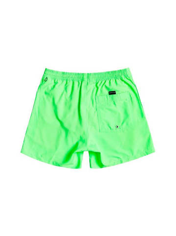 Quicksilver Everyday Volley Badeanzug für Kinder ab 13 Jahren in Grün