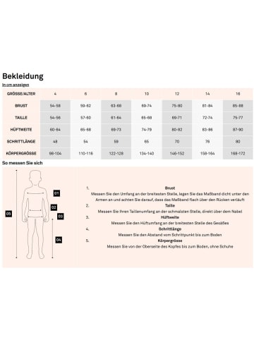 Napapijri Pullover "Balis Fz Sum" in Multicolor