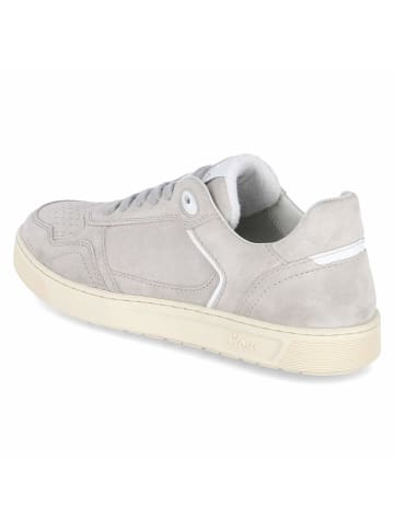 Sioux Low Sneaker TEDROSO in Grau