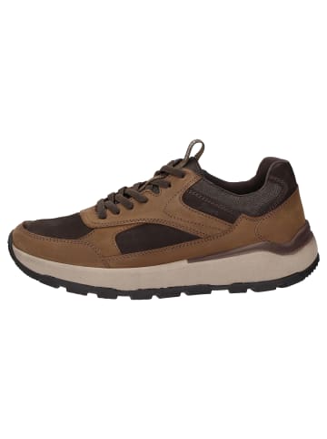Sioux Sneaker Rogerlino-700-H in braun