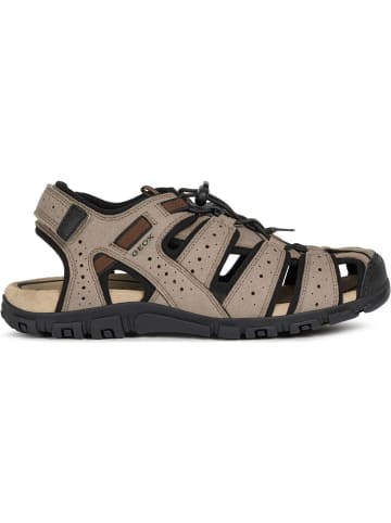 Geox Klassische Sandalen in Taupe/Black