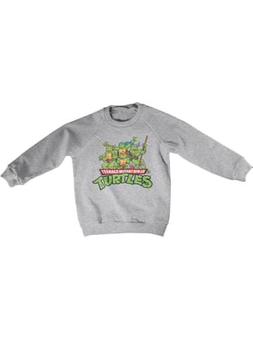 Teenage Mutant Ninja Turtles Kinder Sweatshirt in Grau