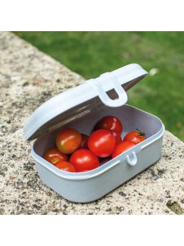 koziol PASCAL S * - Lunchbox in organic grey
