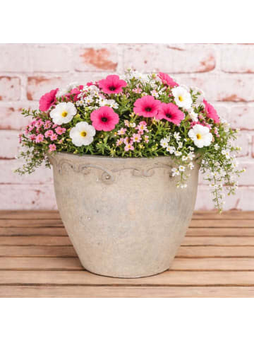 AltoBelli Blumentopf SAVONA Zement Beige Grau 13x11 cm