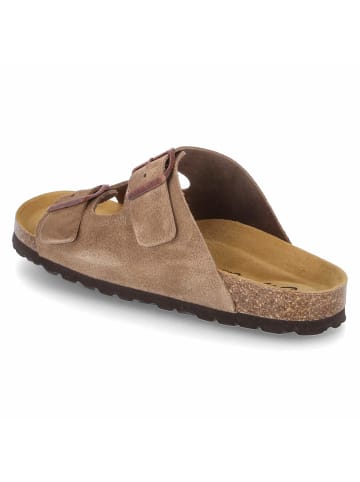Beliana Pantolette in brown